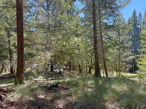 25940 Poppy Pl, Willits, CA 95490 photo 8