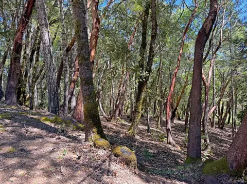 2076 Buckeye Rd, Willits, CA 95490