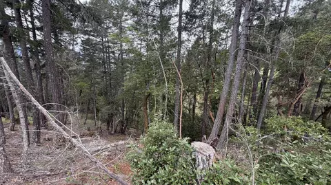 25648 Madrone Dr, Willits, CA 95490