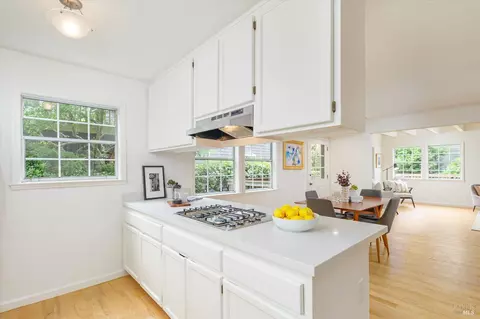 755 Miller Ave, Mill Valley, CA 94941 photo 19