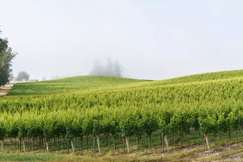 5215 Blank Rd, Sebastopol, CA 95472