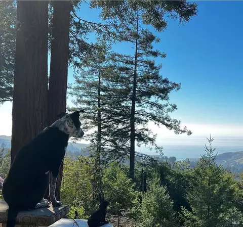 View/Area - 3100 Muniz Ranch Rd, Jenner, CA 95450 photo 3 of 7