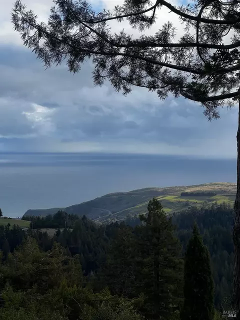 View/Area - 3100 Muniz Ranch Rd, Jenner, CA 95450 photo 5 of 7