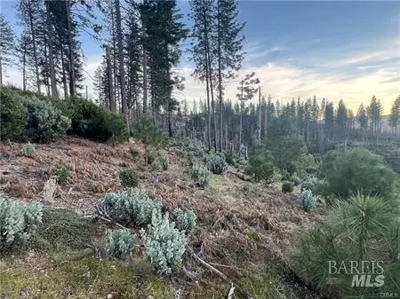 16710 Starview Loop, Cobb, CA 95426 photo 12