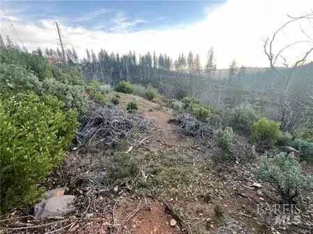 16710 Starview Loop, Cobb, CA 95426 photo 7