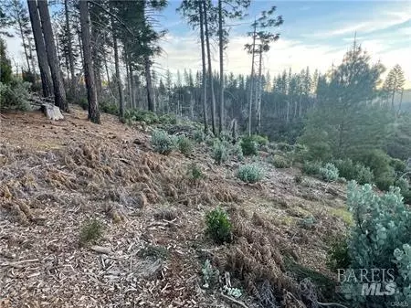 16710 Starview Loop, Cobb, CA 95426 photo 11