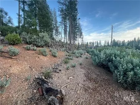 16710 Starview Loop, Cobb, CA 95426 photo 9