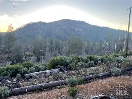 16710 Starview Loop, Cobb, CA 95426