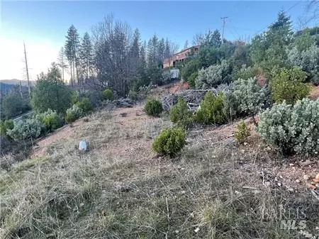 16710 Starview Loop, Cobb, CA 95426 photo 5