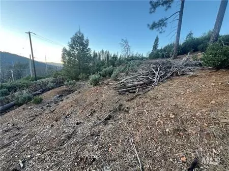 16790 Starview Loop, Cobb, CA 95426 photo 8