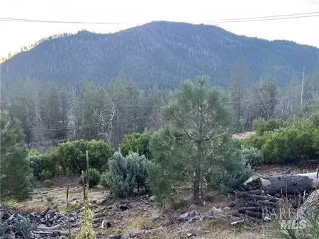 16790 Starview Loop, Cobb, CA 95426 photo 13