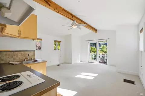 538 Marin Ave, Mill Valley, CA 94941 photo 30