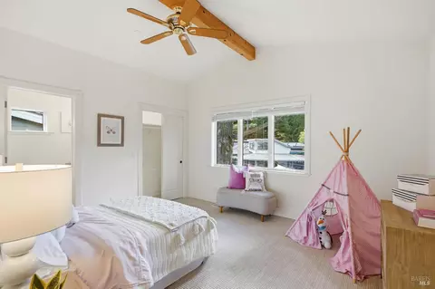 538 Marin Ave, Mill Valley, CA 94941 photo 27