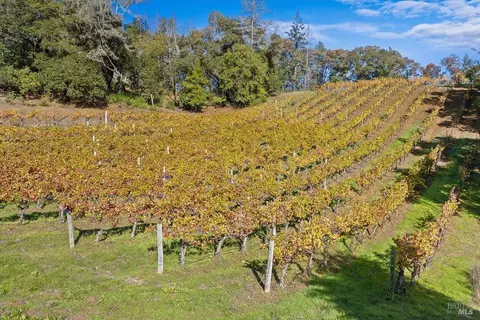 Other - 22355 Chianti Rd, Geyserville, CA 95441 photo 22 of 24