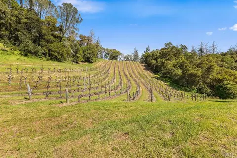 Other - 22355 Chianti Rd, Geyserville, CA 95441 photo 21 of 24