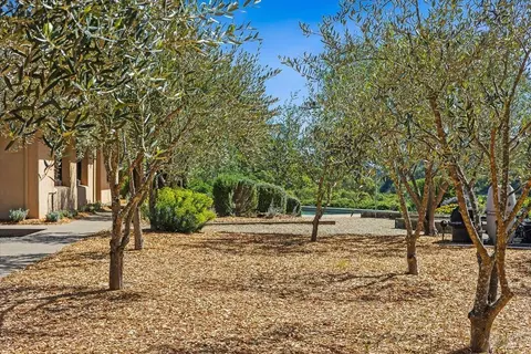 Exterior - 22355 Chianti Rd, Geyserville, CA 95441 photo 9 of 18
