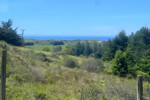 View/Area - 2045 Muniz Ranch Rd, Jenner, CA 95450 photo 3 of 7