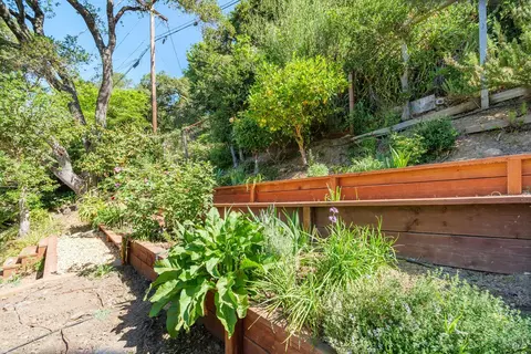Exterior - 244 Manor Dr, Mill Valley, CA 94941 photo 9 of 13
