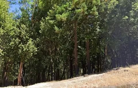 24921 Clover Rd, Willits, CA 95490