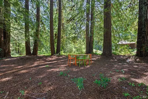 Exterior - 1650 Jonive Rd, Sebastopol, CA 95472 photo 13 of 24