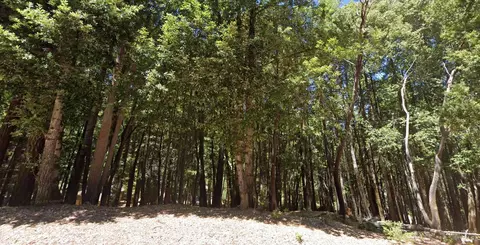 24230 Cypress Dr, Willits, CA 95490