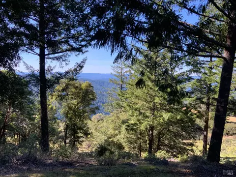 10225 Low Gap Rd, Ukiah, CA 95482 photo 13
