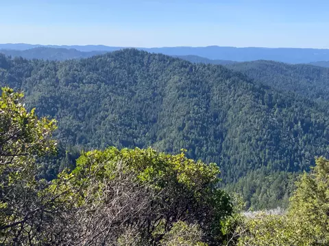 10225 Low Gap Rd, Ukiah, CA 95482 photo 3