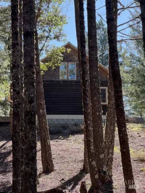 10225 Low Gap Rd, Ukiah, CA 95482 photo 14
