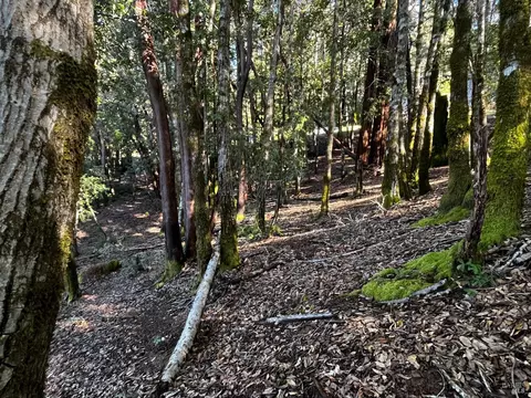 24278 Tulip Dr, Willits, CA 95490 photo 8