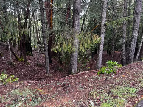 24278 Tulip Dr, Willits, CA 95490 photo 4