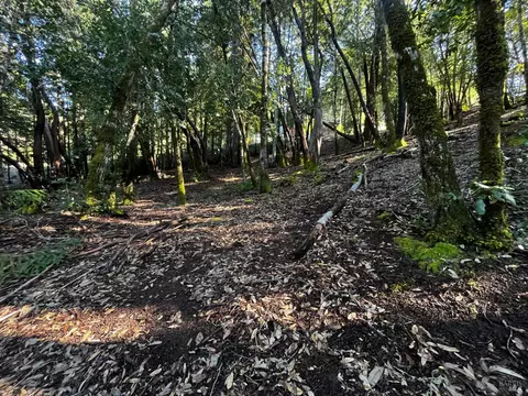 24278 Tulip Dr, Willits, CA 95490