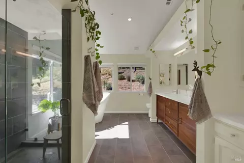 Bath - 3922 Putah Ridge Trl, Winters, CA 95694 photo 1 of 9