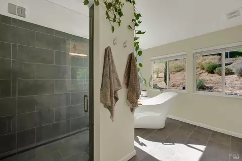 Bath - 3922 Putah Ridge Trl, Winters, CA 95694 photo 3 of 9