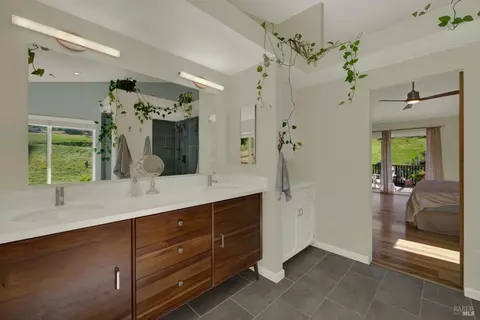 Bath - 3922 Putah Ridge Trl, Winters, CA 95694 photo 6 of 9