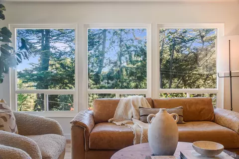 195 Edgewood Ave, Mill Valley, CA 94941 photo 8