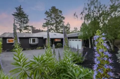 195 Edgewood Ave, Mill Valley, CA 94941 photo 45