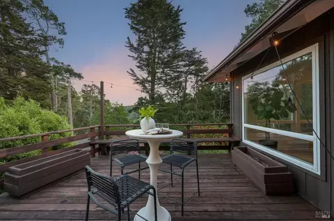 195 Edgewood Ave, Mill Valley, CA 94941 photo 39