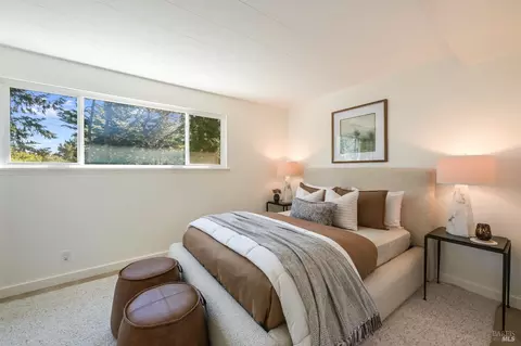 195 Edgewood Ave, Mill Valley, CA 94941 photo 32