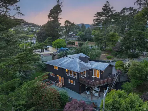 195 Edgewood Ave, Mill Valley, CA 94941 photo 41