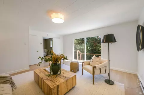 195 Edgewood Ave, Mill Valley, CA 94941 photo 27
