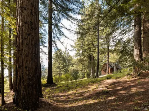 Exterior - 15570 Bittner Rd, Occidental, CA 95465 photo 11 of 18
