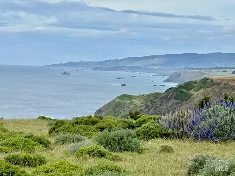 14720 Navarro Way, Manchester, CA 95459