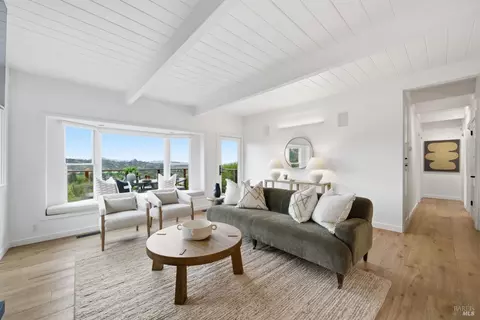 Living - 439 Molino Ave, Mill Valley, CA 94941 photo 1 of 6