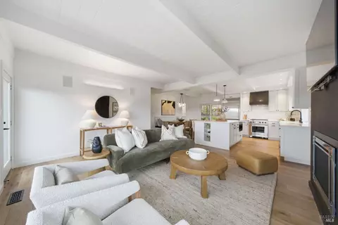 Living - 439 Molino Ave, Mill Valley, CA 94941 photo 6 of 6