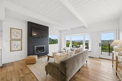 Living - 439 Molino Ave, Mill Valley, CA 94941 photo 4 of 6