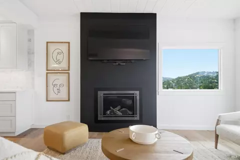 Living - 439 Molino Ave, Mill Valley, CA 94941 photo 5 of 6