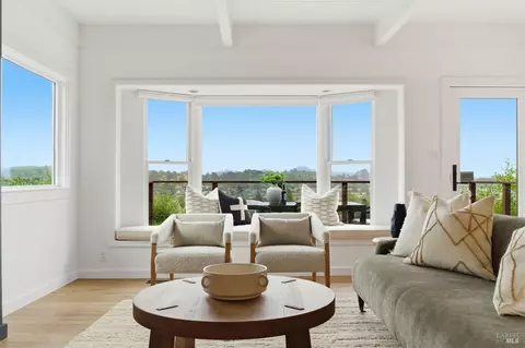 Living - 439 Molino Ave, Mill Valley, CA 94941 photo 2 of 6