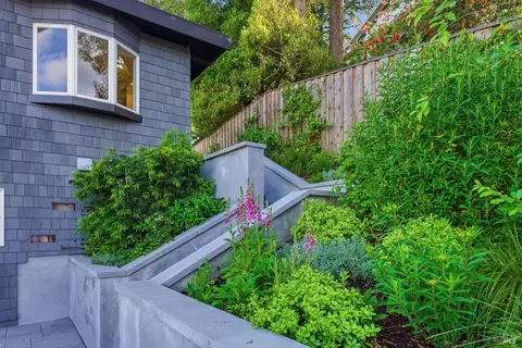 Exterior - 439 Molino Ave, Mill Valley, CA 94941 photo 25 of 35
