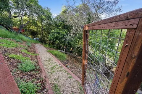 Exterior - 439 Molino Ave, Mill Valley, CA 94941 photo 30 of 35