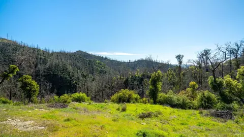 1470 Los Alamos Rd, Santa Rosa, CA 95409